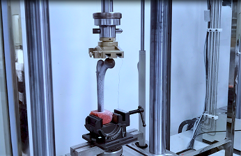 數(shù)字圖像相關(guān)法（DIC）在骨骼材料變形測量的應(yīng)用