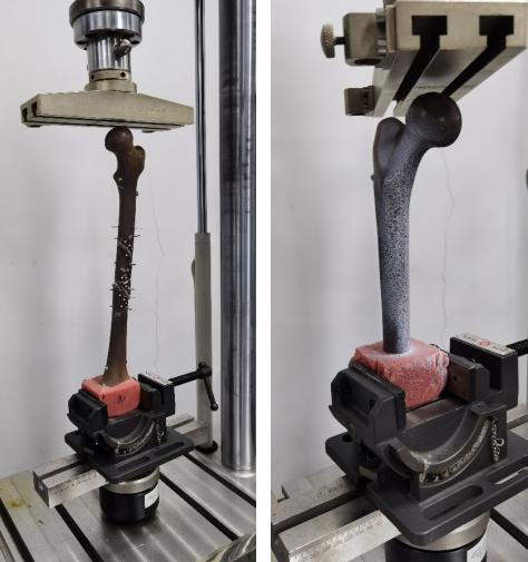 三維數(shù)字散斑DIC技術(shù)用于骨頭材料受壓變形測(cè)量.jpg 三維數(shù)字散斑DIC技術(shù)用于骨頭材料受壓變形測(cè)量.jpg