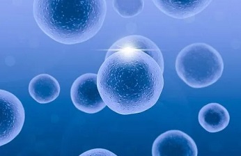  3D-DIC應(yīng)變測量技術(shù)用于細(xì)胞培養(yǎng)室的生物力學(xué)研究