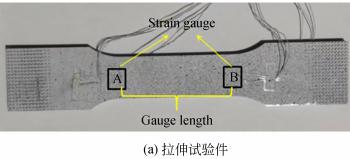 3D-DIC技術(shù)用于標(biāo)準(zhǔn)件拉伸應(yīng)變測量.jpg 3D-DIC技術(shù)用于標(biāo)準(zhǔn)件拉伸應(yīng)變測量.jpg