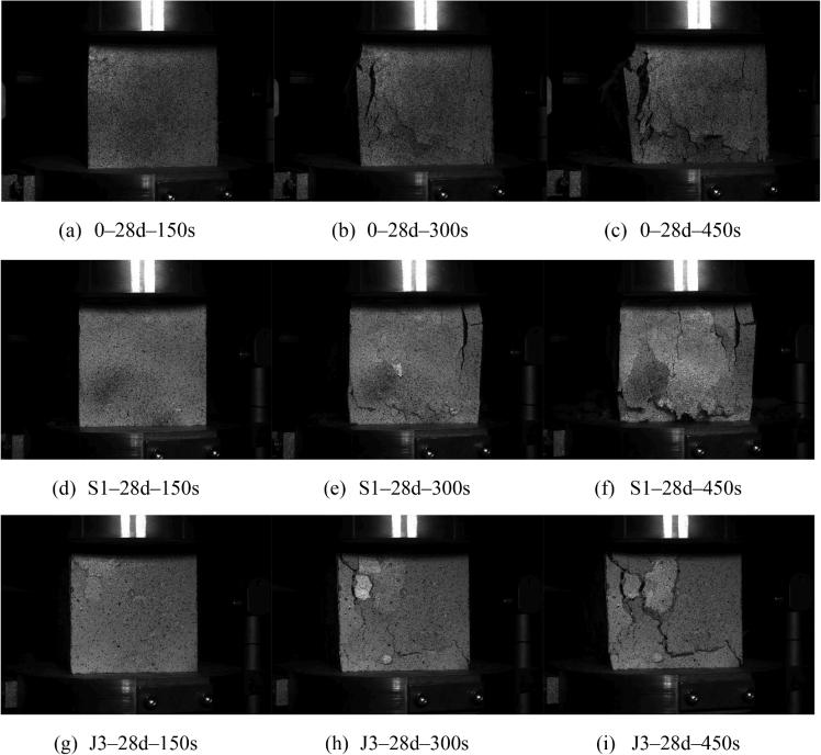 3D-DIC應變測量技術用于植物纖維增強材料力學性能測試.jpg