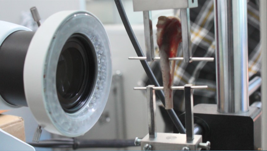 數(shù)字圖像相關(DIC)技術用于骨骼拉伸全場應變測量.jpg 數(shù)字圖像相關(DIC)技術用于骨骼拉伸全場應變測量.jpg