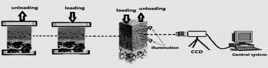 數(shù)字圖像相關(DIC)技術用于關節(jié)軟骨回彈全場變形測量.jpg 數(shù)字圖像相關(DIC)技術用于關節(jié)軟骨回彈全場變形測量.jpg