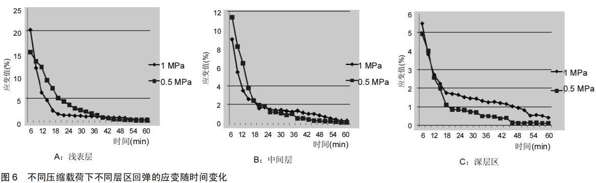 數(shù)字圖像相關(DIC)技術用于關節(jié)軟骨回彈全場變形測量.jpg 數(shù)字圖像相關(DIC)技術用于關節(jié)軟骨回彈全場變形測量.jpg
