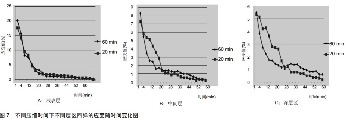 數(shù)字圖像相關(DIC)技術用于關節(jié)軟骨回彈全場變形測量.jpg 數(shù)字圖像相關(DIC)技術用于關節(jié)軟骨回彈全場變形測量.jpg